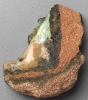 Rough Boulder Opal